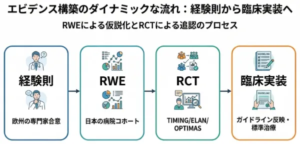 Rwe Rct 【脳梗塞治療エビデンス活用術】急性期脳塞栓症のDOACを「いつ」始める? - 9つのエビデンスで「1-2-3-4 Day rule」を見極める ...