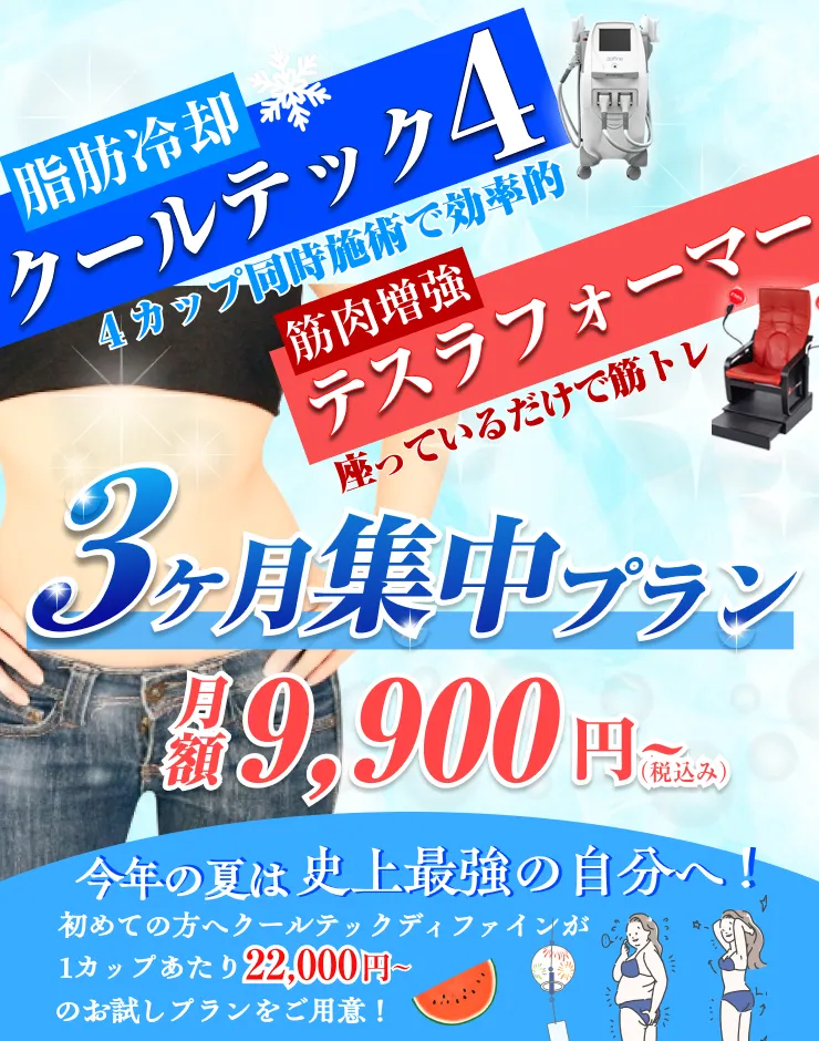 【送料込 新品】脂肪冷却　4カップ同時使用可能 4カップ最新版脂肪冷却