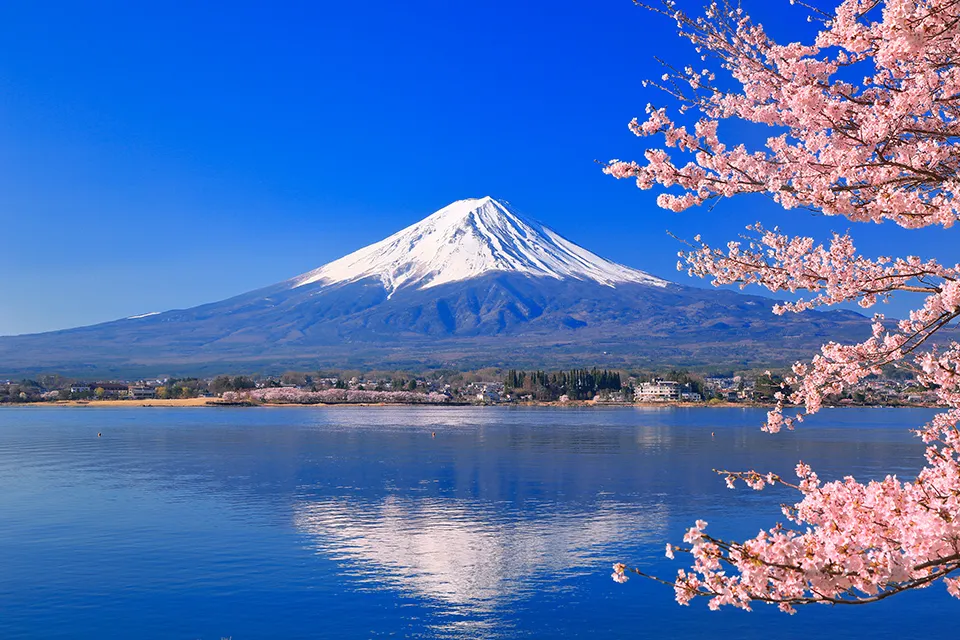 Japan barrier-free information