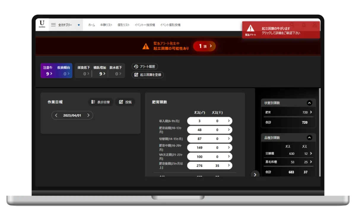 ユーモーション　15ポンド　試投のみ U motion PV - YouTube