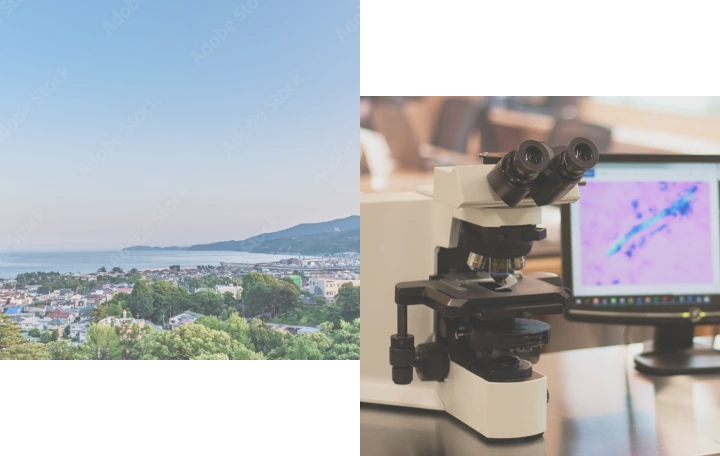 小田原の風景写真と顕微鏡の写真