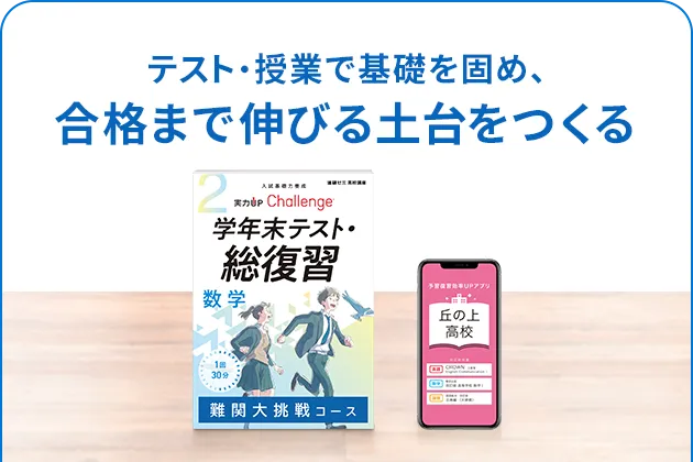 進研ゼミ　高校講座　高一4月〜高ニ12月　チャレンジ 進研ゼミ 高校講座 高一4月〜高ニ12月 チャレンジ 進