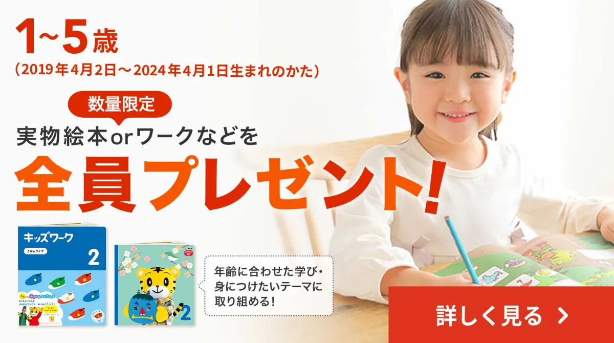 こどもちゃれんじ ぷち 1年分DVD 英語切り替え 2017-2018