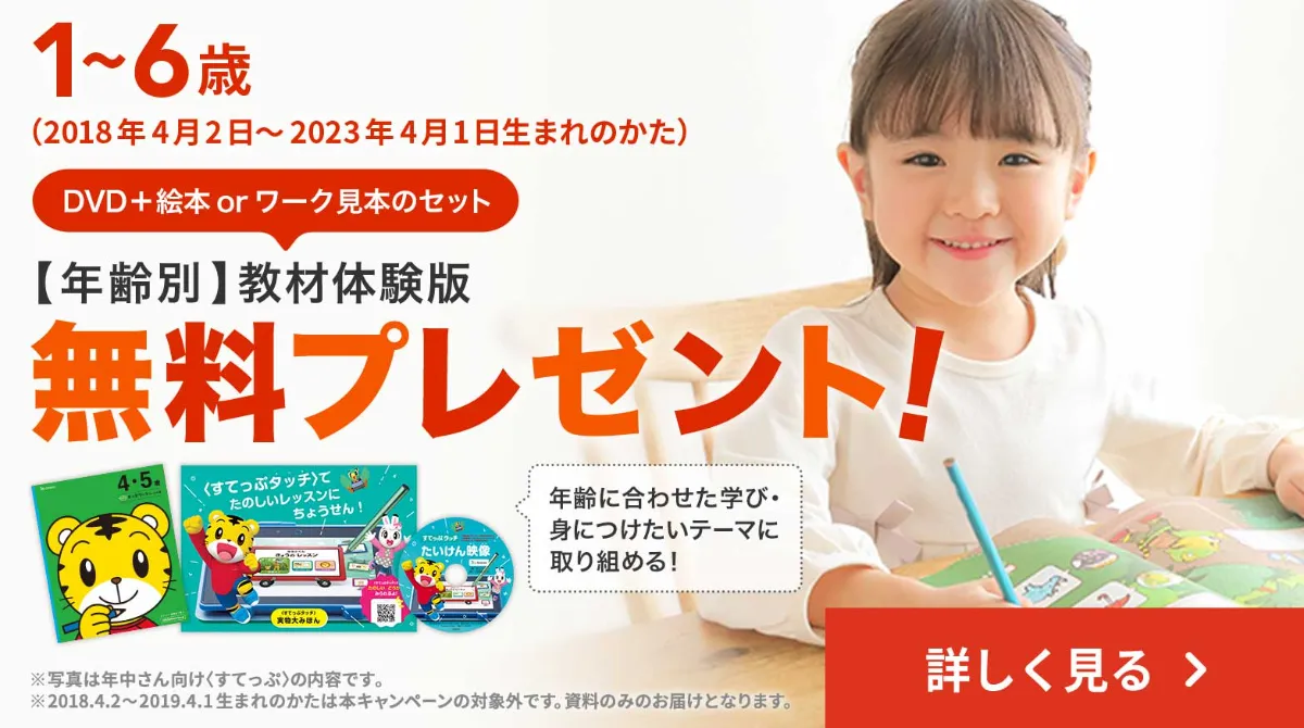 おまけ用 こどもちゃれんじ DVD 程よい