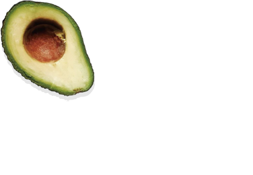 生徒作品の一部_座っているくまのぬいぐるみが上下に動くアニメーション