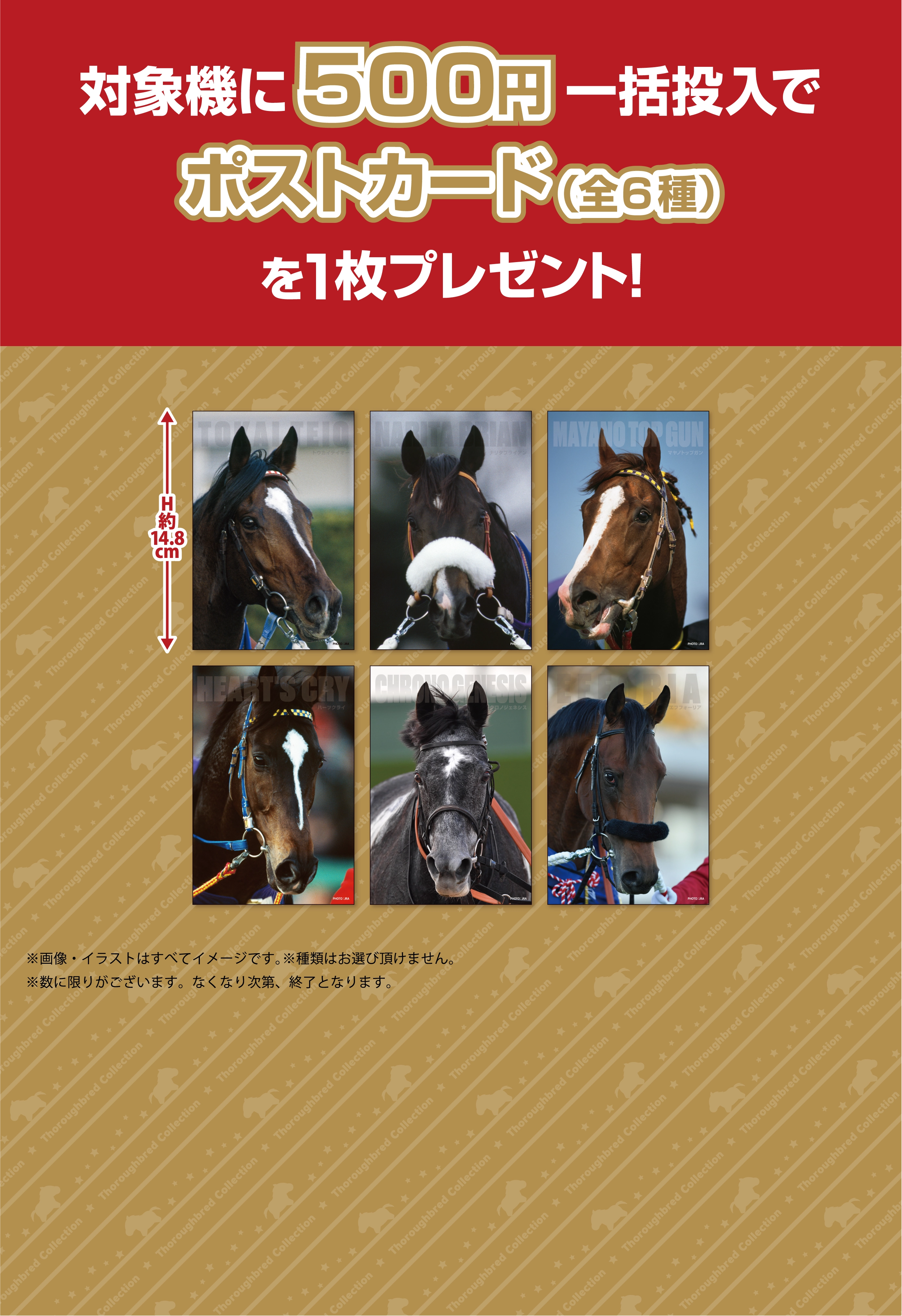 サラブレッドコレクション×GiGOキャンペーン第2弾