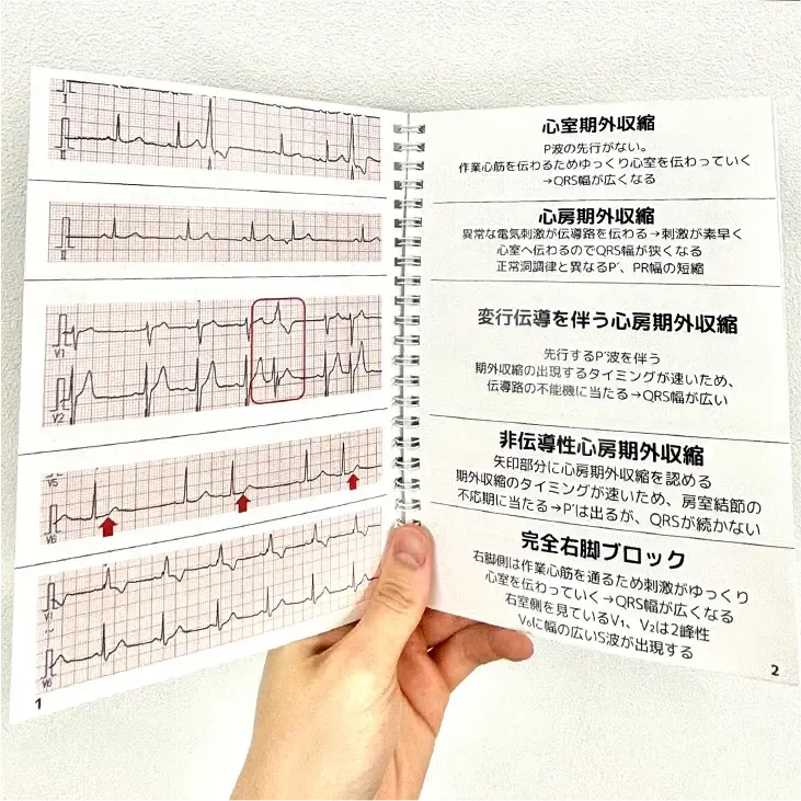 1番人気】心電図中級編2級合格39ステップ(PDF版) | skychi