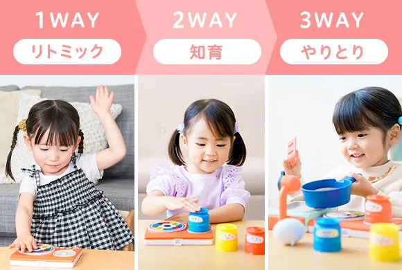 ベネッセ】こどもちゃれんじ ぷち（1〜2歳児）2017〜2018年版DVD
