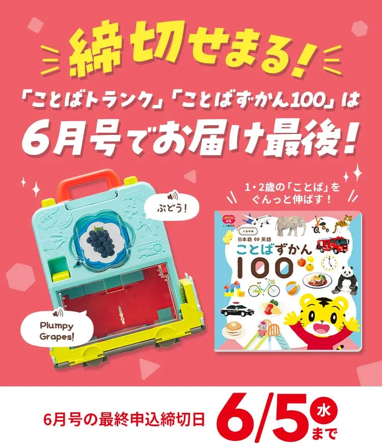 【在庫特価】【新品未使用】こどもちゃれんじ　ぷち　2021年度体験版 知育玩具