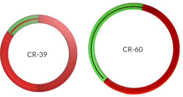 グリセリン圧力計用　カラーリングCR