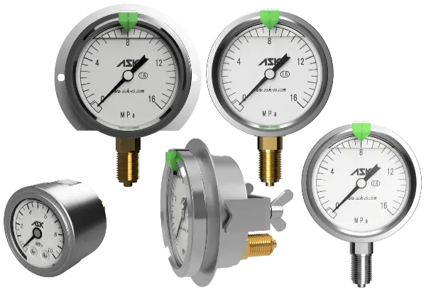 他のサイズのグリセリン圧力計
