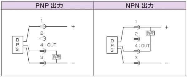 DPS 輸出格式