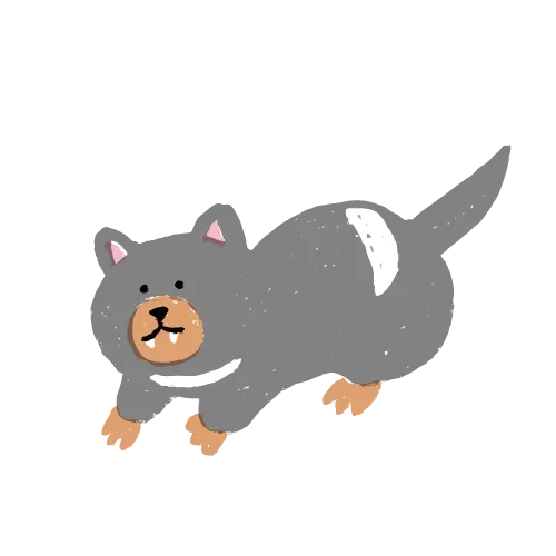 ウォンバット