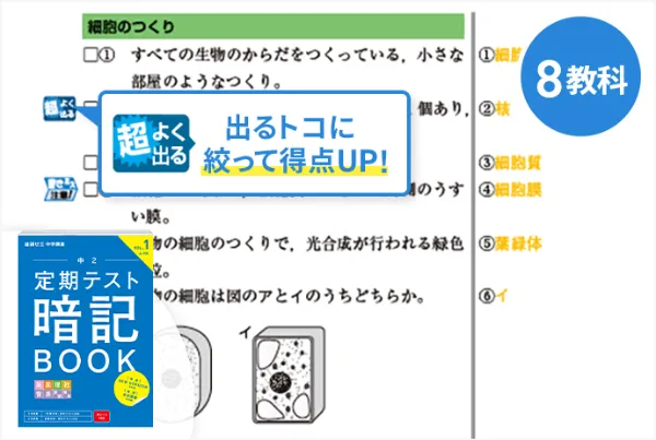 進研ゼミ 中学講座2年 チャレンジ