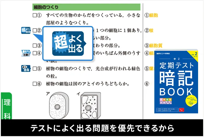 チャレンジ中学二年生 一年分セット 年間教材 | 中二講座 | 進研ゼミ中学講座 | 中学2年生向け通信教育