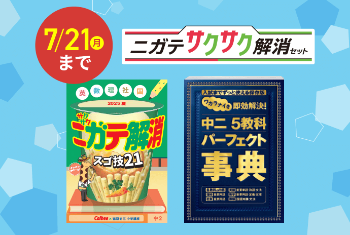 進研ゼミ中学講座2年生2024年度 【1年分全部セット！未使用多数！】 年間教材 | 中二講座 | 進研ゼミ中学講座 | 中学2年生向け通信教育