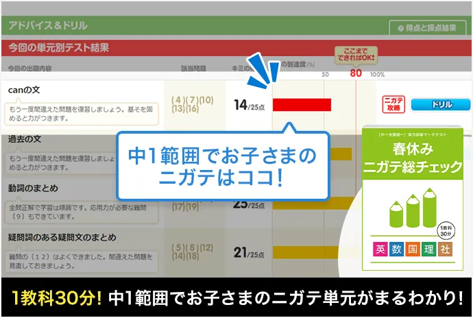 中学生用学習教材セット【5教科、実技4教科】＋中学準備編学習教材