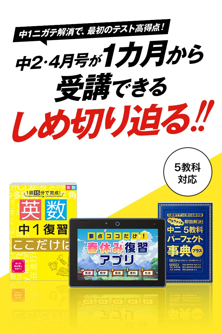 進研ゼミ 中2講座 1年分セット 2015・2016 中二講座 | 進研ゼミ中学講座 | 中学2年生向け通信教育