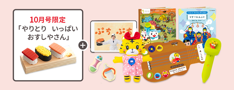 こどもちゃれんじ ポケット 1年分 全セット しまじろう こどもちゃれんじ ぷち&ぽけっと 2年間分DVDフル