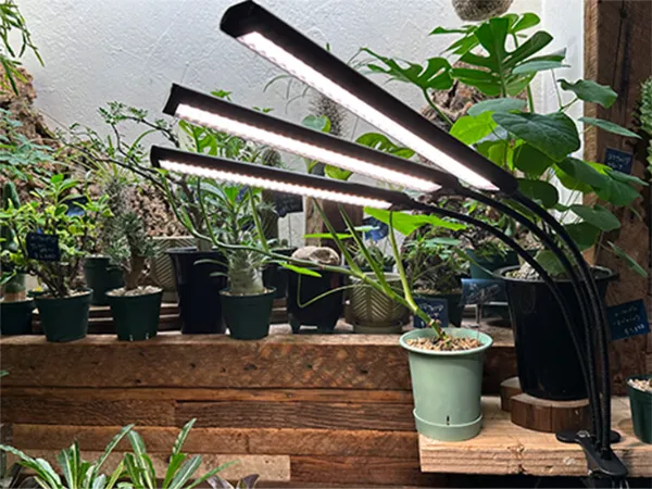 Brim | 植物育成ライト Brim | 植物育成ライト