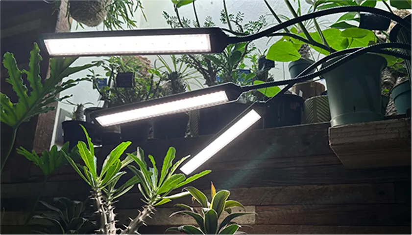 Brim | 植物育成ライト Brim | 植物育成ライト