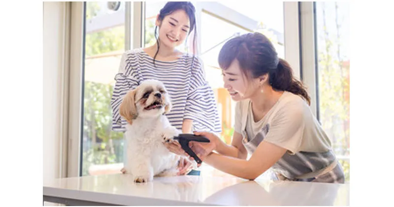 ターレスペット Thales Pet | 導入サロン数No.1のペット用