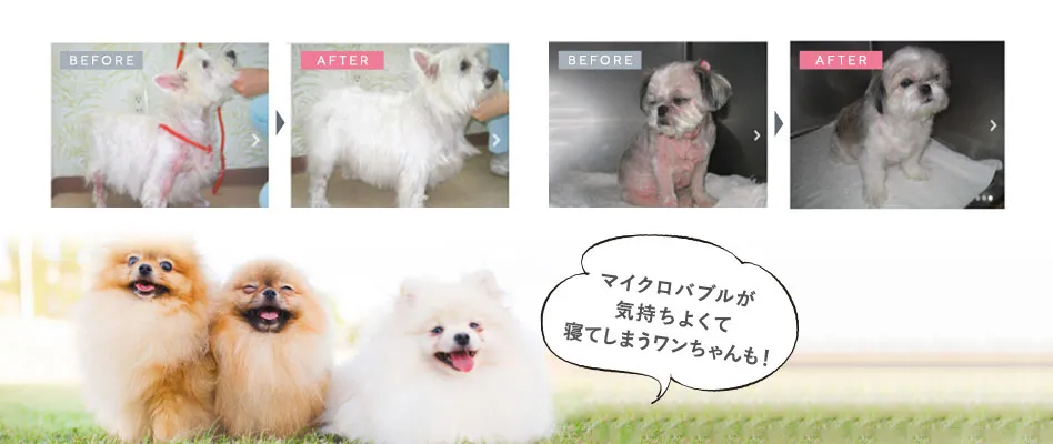 ターレスペット Thales Pet | 導入サロン数No.1のペット用
