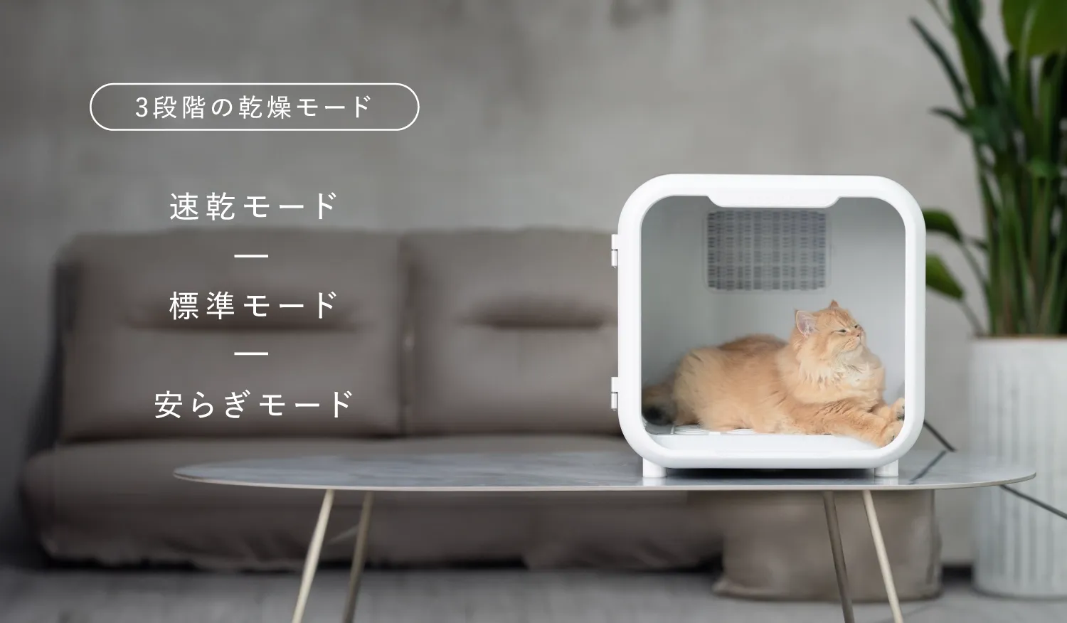 mocoline | MCDB-02A ペットドライサロンハウス 犬猫用乾燥機 mocoline | MCDB-02A ペットドライサロンハウス 犬猫用乾燥機
