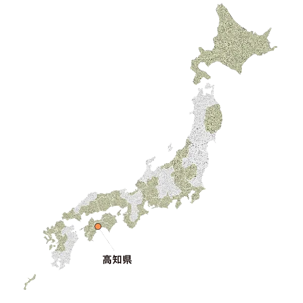関係人口の活動実績がある地域