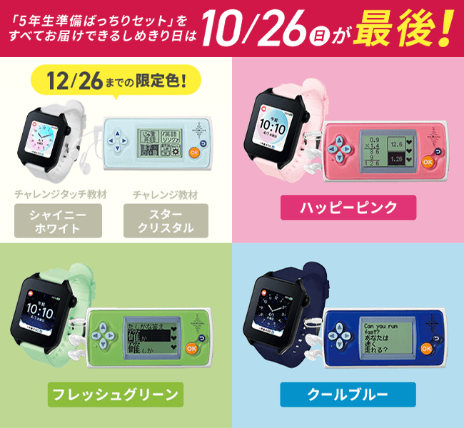 チャレンジ5年生　ワーク12冊+付属ワーク10冊+α チャレンジ5年生 ワーク12冊+付属ワーク10冊+α チャレンジ5年生