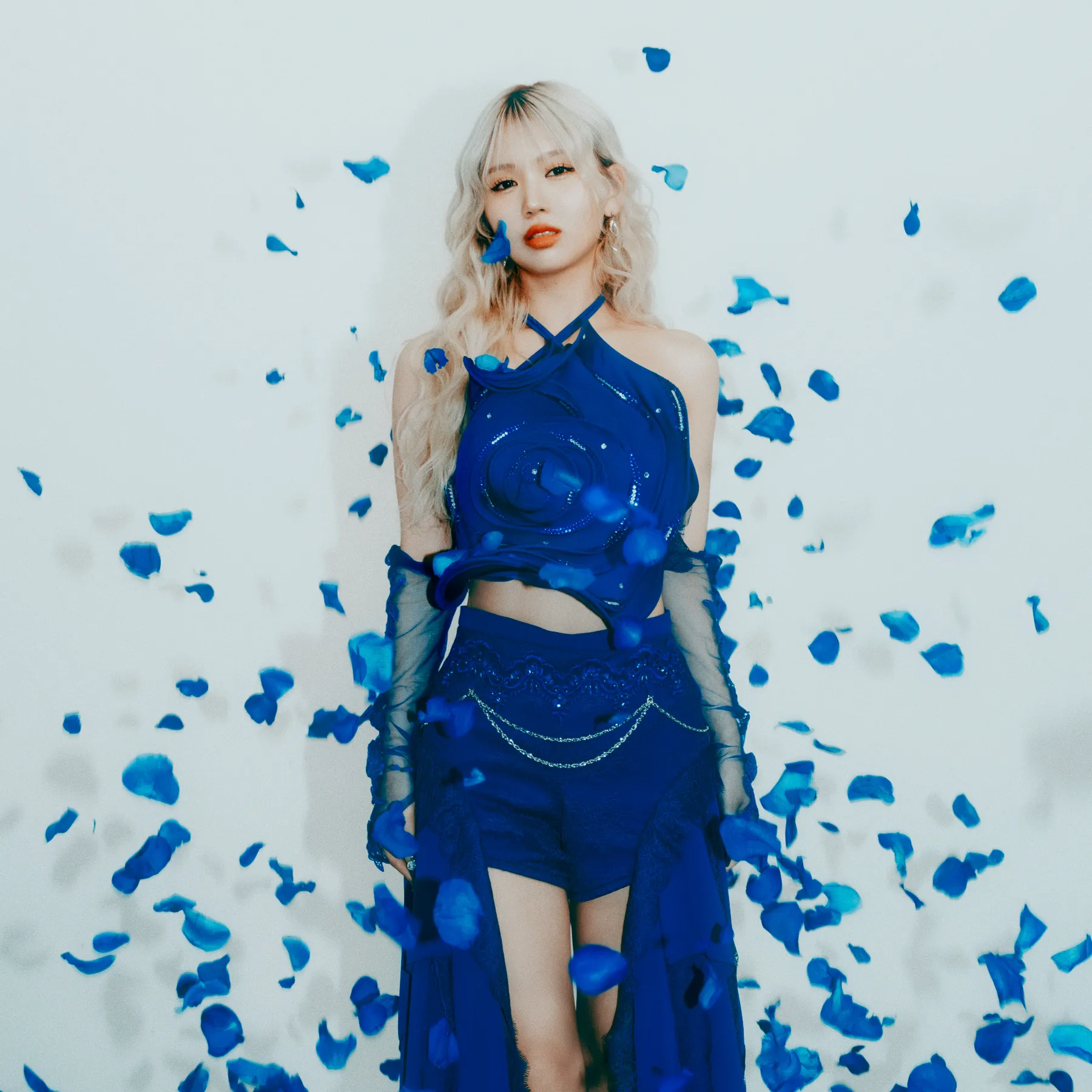 ミュージシャン Sahala ミュージシャン Sahala Sahara