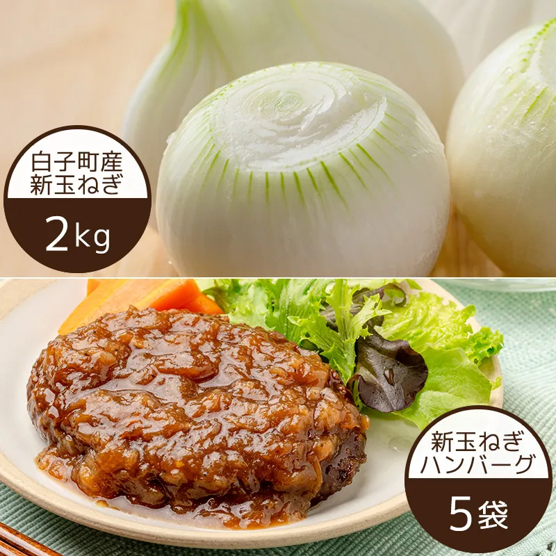 ふるさと納税 野菜類 玉ねぎ 千葉県 白子町 令和7年の先行予約