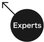 Experts