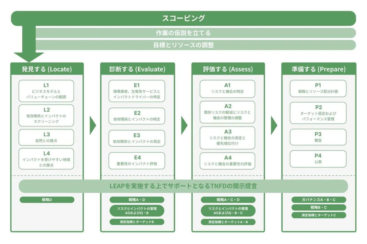 LEAPアプローチとは？具体的な進め方やポイント、企業事例を解説