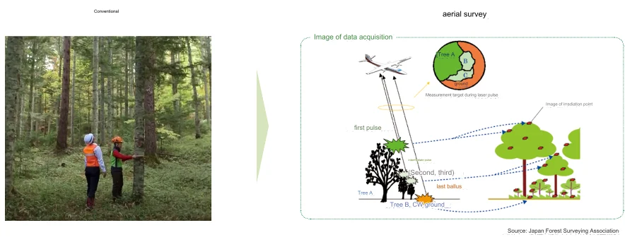 Conventional and aerial surveys