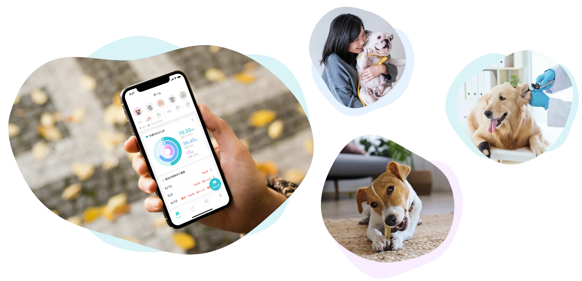 A platform for dog owners to communicate with each other and