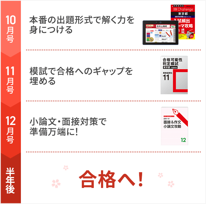 進研ゼミ中学講座　中3 Challenge　高校入試　受験対策　2025春受験 進研ゼミ中学講座 中3 Challenge 高校入試 受験対策 2025春受験 年間