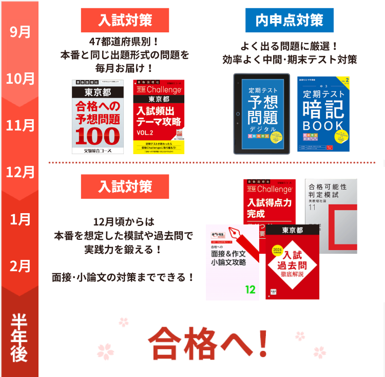 【新品】【進研ゼミ】中学講座3年　チャレンジ & 定期テスト対策 & 苦手診断 新品】【進研ゼミ】中学講座3年 チャレンジ & 定期テスト対策