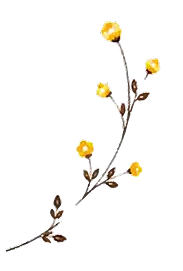 お花の装飾