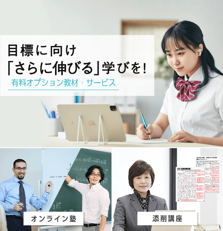 ベネッセ鉄緑会　東京大学入試対策講座（直前対策編）付属CD2枚のみ 地方でも鉄緑会の授業が受けられるって知ってた？〜Benesse鉄緑