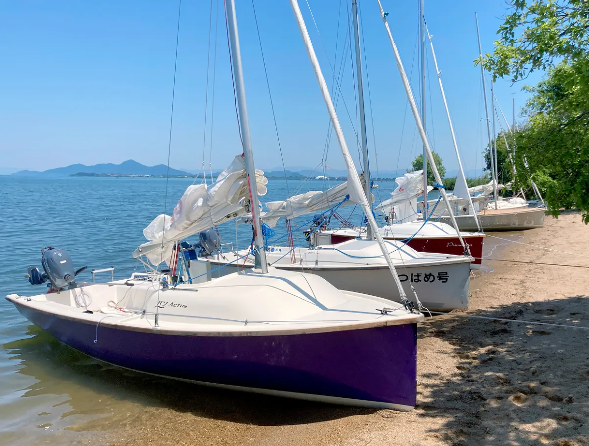 【美品】セイクレッドフォレスト/ヒーリングウォーター 2点セット 日本語解説書付 セイクレッドフォレストオラクル(日本語説明書付) | デニス