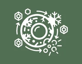 凍結された脂肪細胞のアイコン