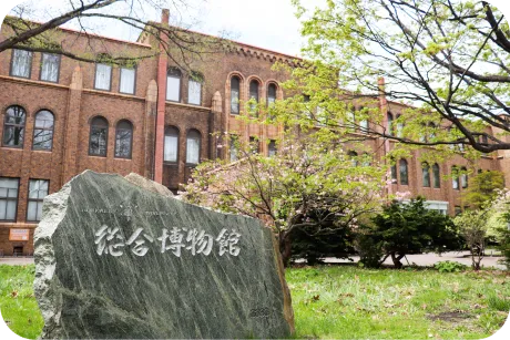 北海道大学の大学構内の写真