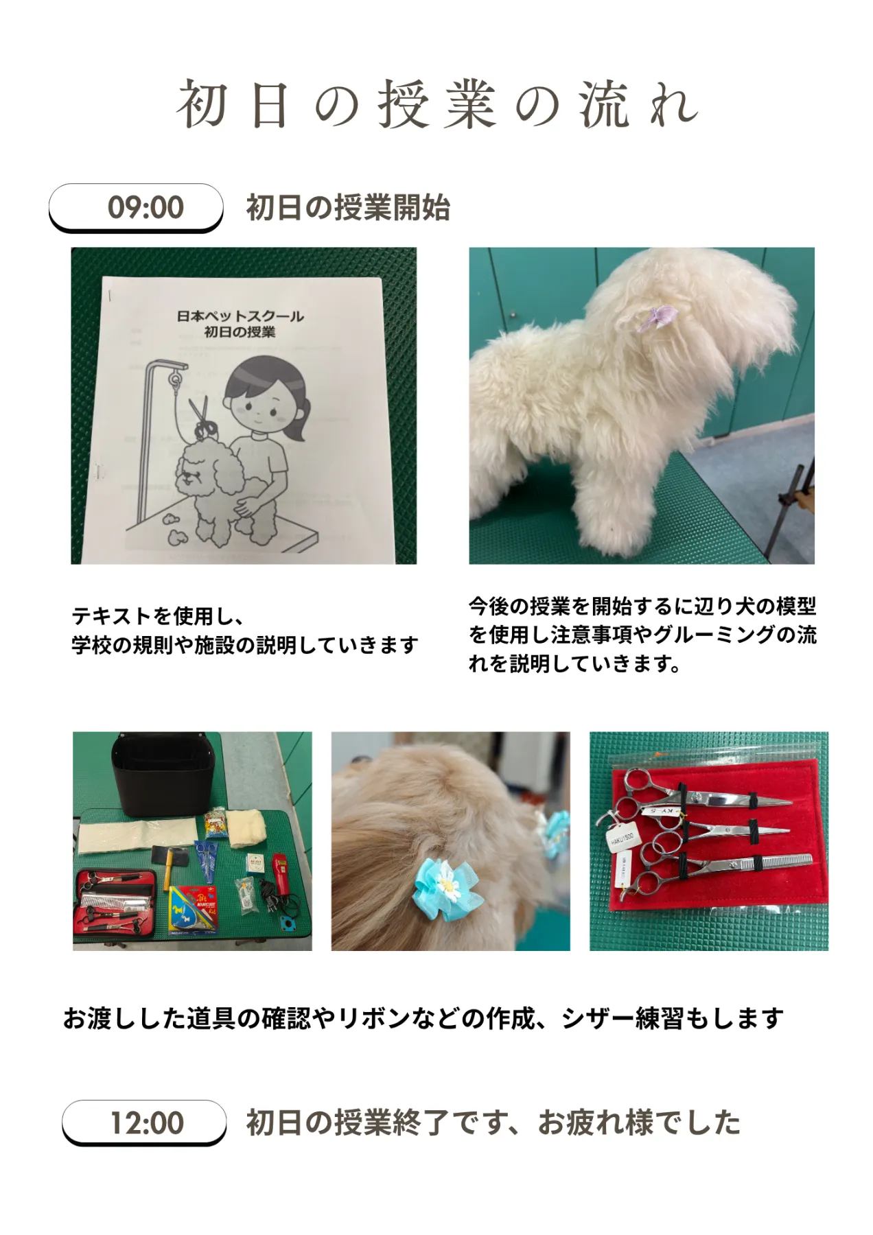 資格取得を支援するトリマーの教室｜トリミングスクールなら［日本