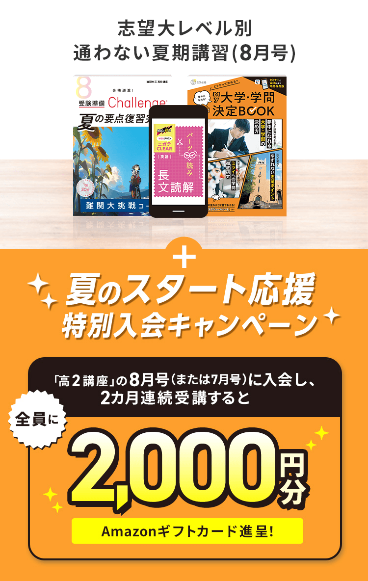 進研ゼミ高校講座 高2 演習チャレンジ 全29冊 一年分フル