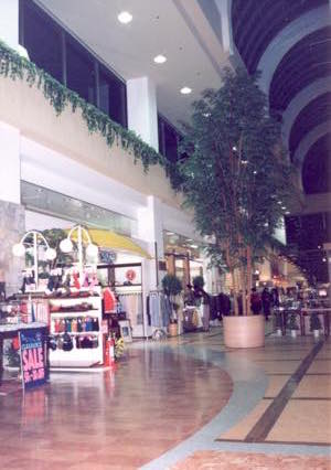 フードコートの人工樹木ベンジャミン