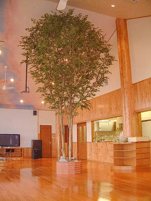 人工樹木ベンジャミン株立