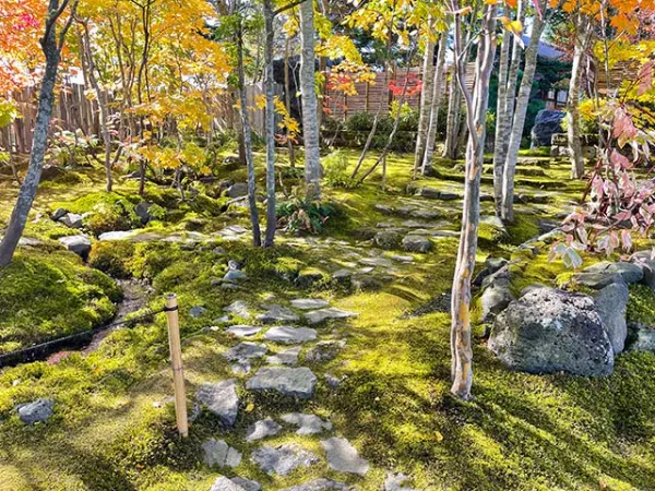 苔むした斜面に配された自然石のステップと、その脇を流れる小さなせせらぎ。奥には木製フェンスと雑木林が広がる。