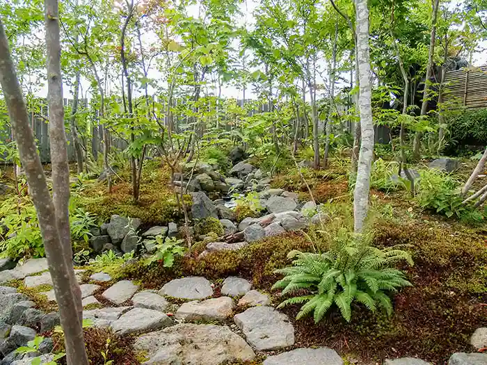 飛び石の脇に大きなシダが植えられ、奥へと続く水路が雑木の影に隠れる、深山のような雰囲気の景観。