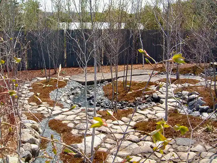 冬が終わり、細い木々の枝先に淡い緑の芽が吹き始めた、早春の光が差し込む庭の風景。